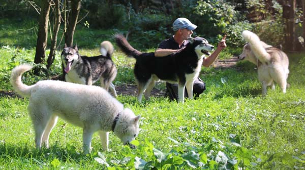 Unsere Huskys